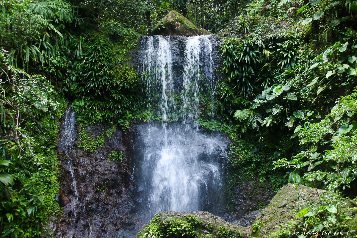 Cascades en Guadeloupe : La Cascade aux Ecrevisses et Le Saut des Trois